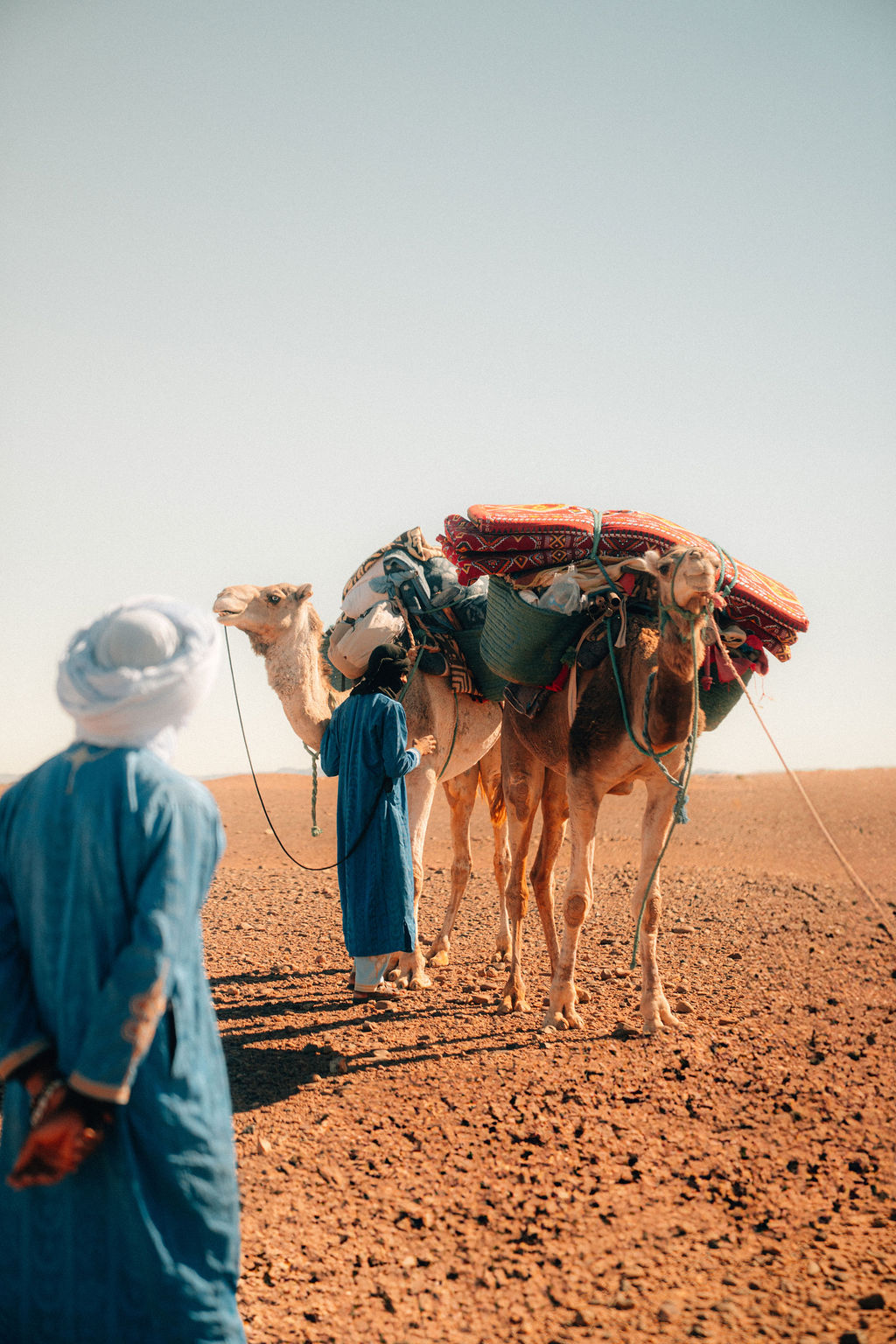 A blue-robed nomad leading a loaded camel through the Sahara.