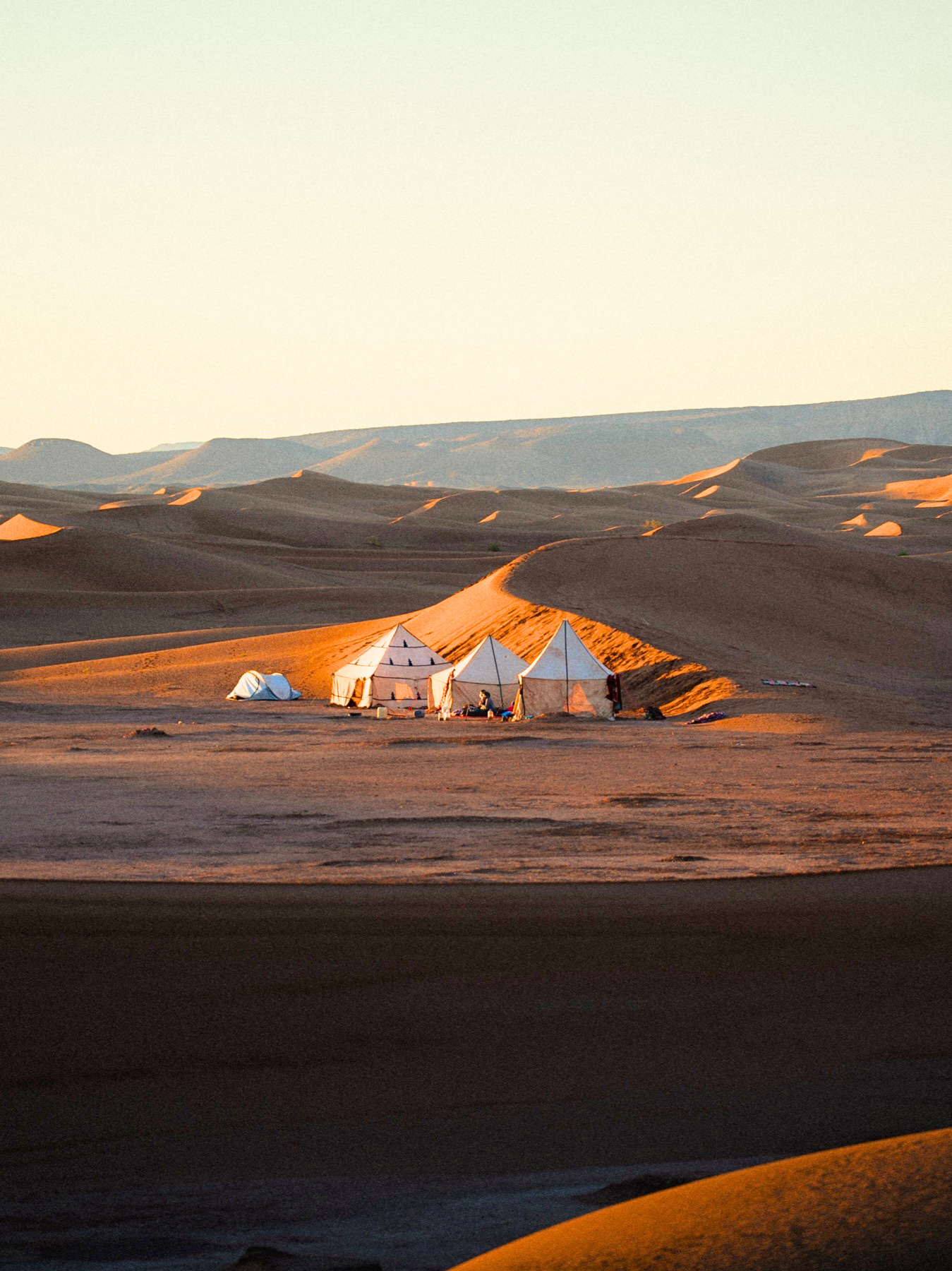 Desert Camp at Sunset in the Sahara Caravan gallery.