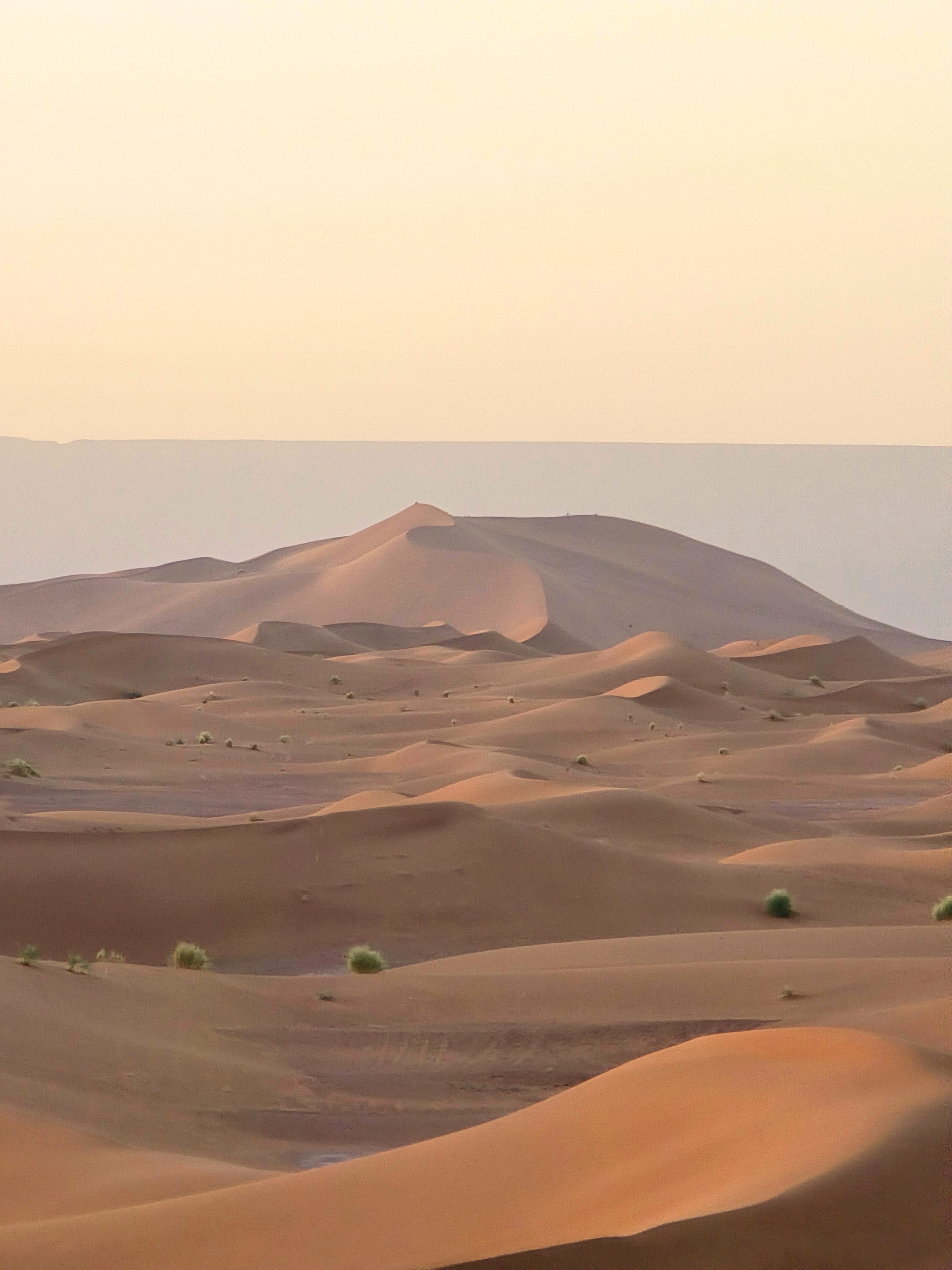 Soft sunset light over distant Sahara dunes.