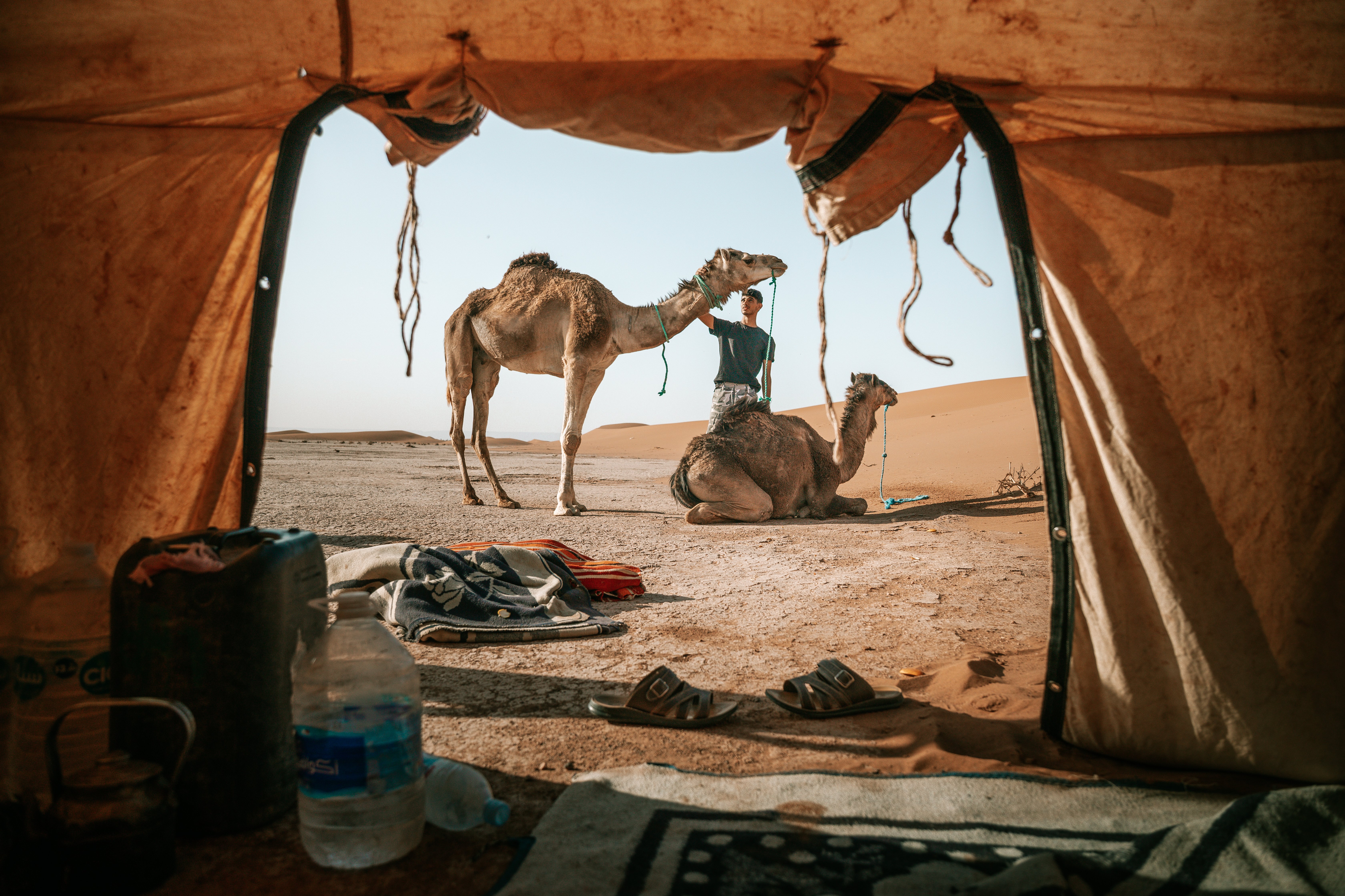 View from Desert Tent with Camels in the Sahara Caravan gallery.