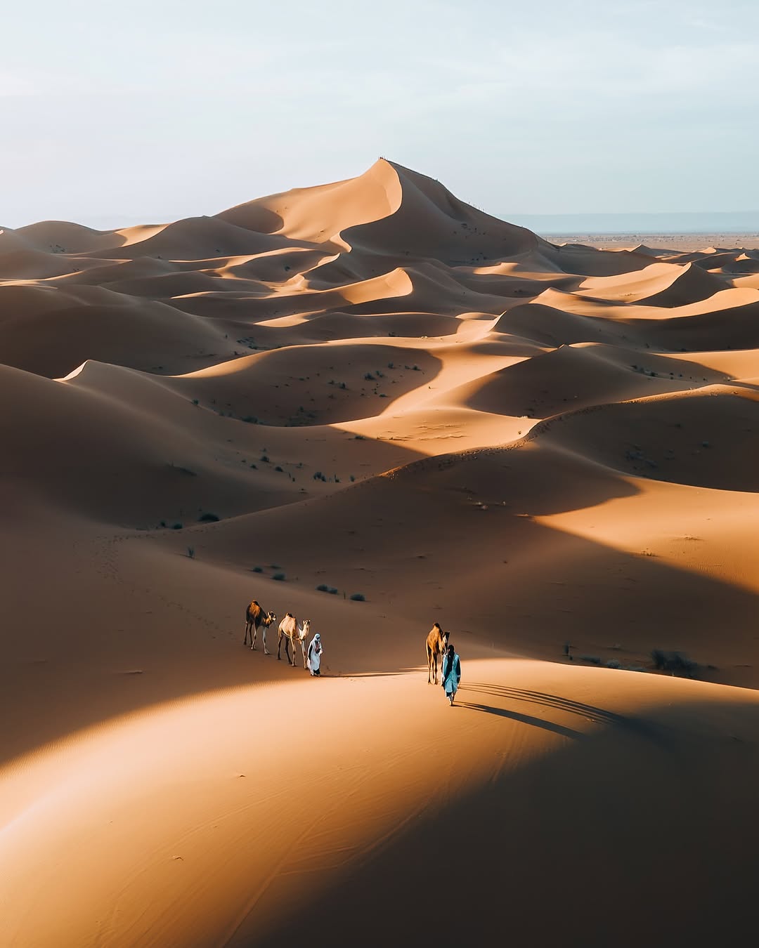Golden Moroccan Sahara dunes near M’Hamid El Ghizlane, Morocco.